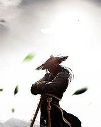 丹武大帝